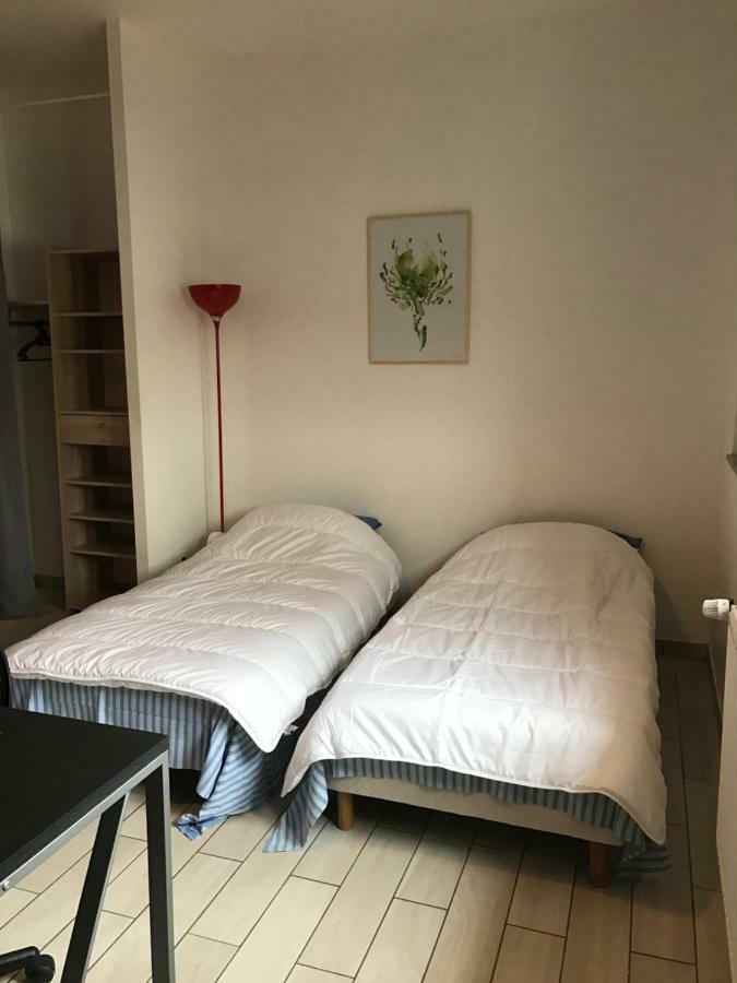 Les Studines Apartment Roanne Exterior foto